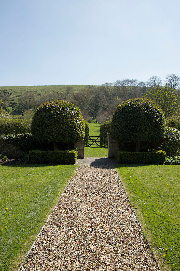Symmetrische Buchsbaumhecken mit Kiesweg auf dem Gelände eines Landhauses in Warminster, Wiltshire, England, Vereinigtes Königreich