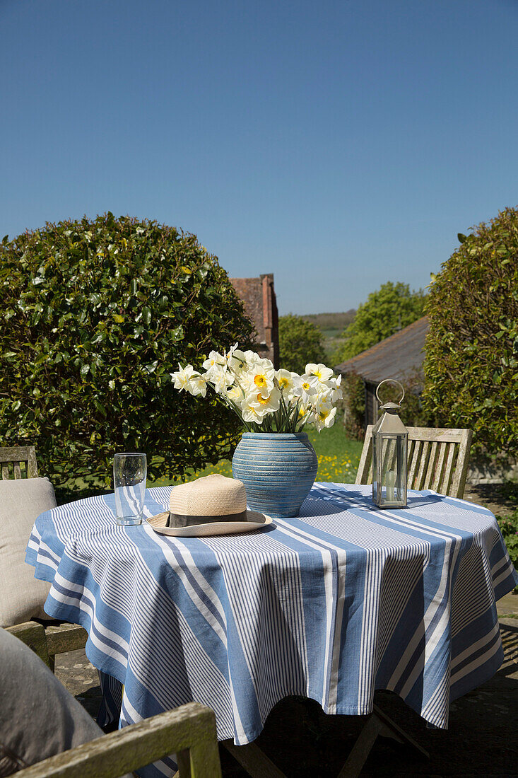 Geschnittene Narzissen auf gestreifter blauer Tischdecke in Warminster Garten Wiltshire England UK