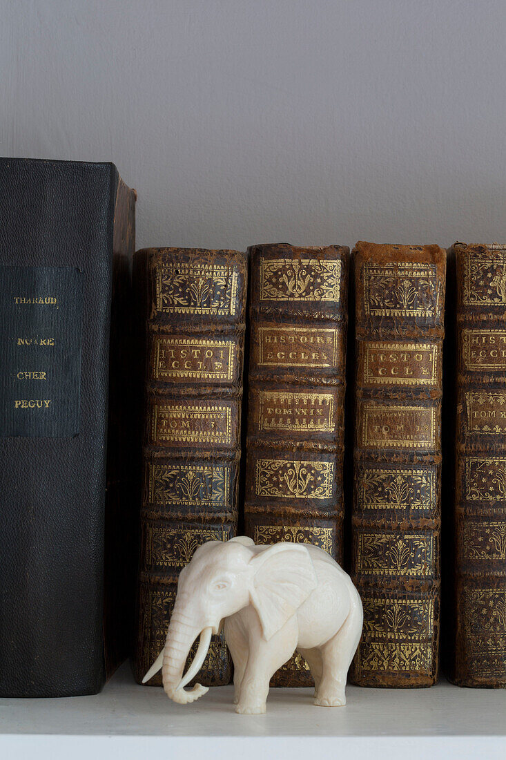 Gebundene Bücher und eine Elefantenfigur auf einem Regal in einem viktorianischen Familienhaus in South West London UK