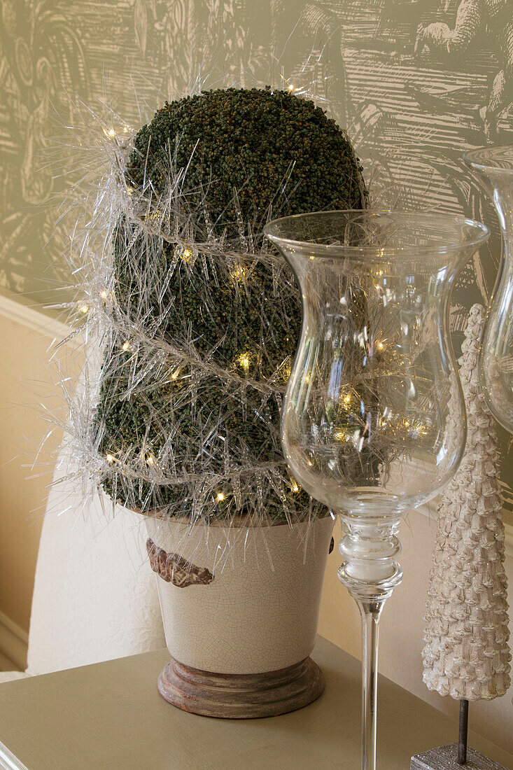 Glaskerzenhalter mit Lichterketten auf einer Pflanze zu Weihnachten in einem Haus in Sussex, England UK