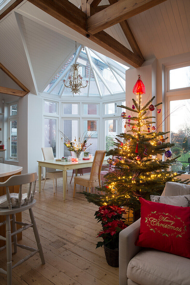 Lit Christmas tree and Poinsettia (Euphorbia pulcherrima) in open plan Sussex home England UK