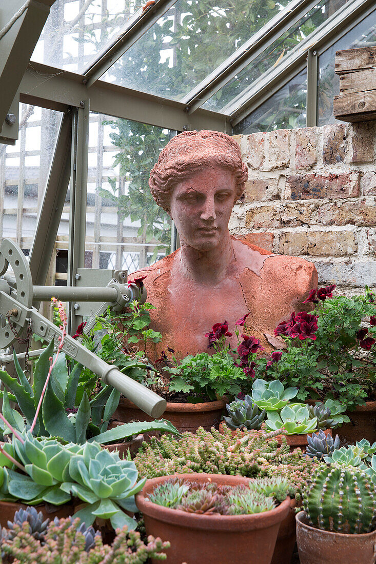 Female bust and succulent plants in Arundel greenhouse West Sussex England UK
