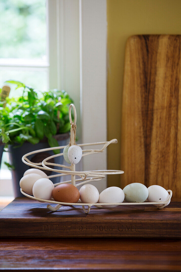 Eierhalter auf Küchenarbeitsfläche in Berkshire home England UK