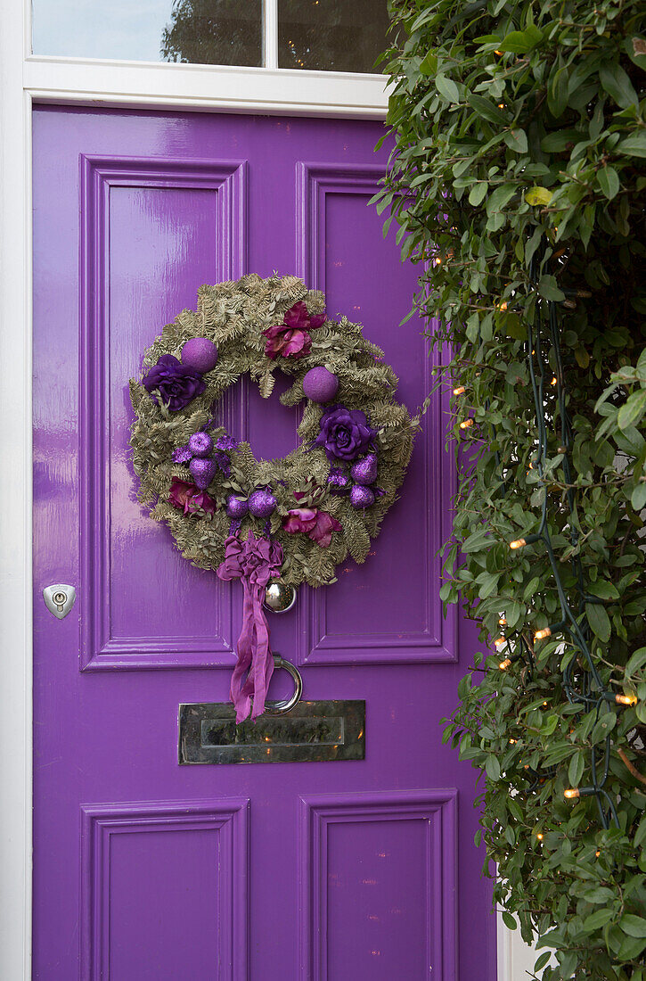 Christmas wreath on bright purple front door of London home England UK