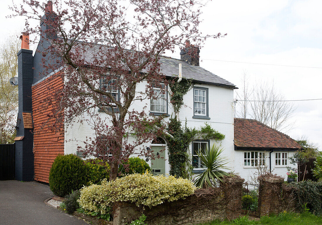 Freistehendes Haus mit knospendem Baum in Sussex England UK