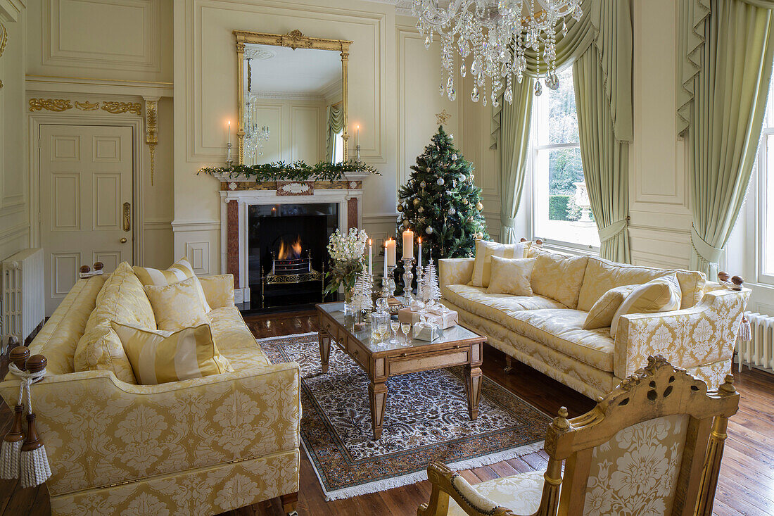 Cremefarbene und goldene Sofas mit beleuchtetem Kamin und Weihnachtsbaum in einem Landhaus in Kent, England UK