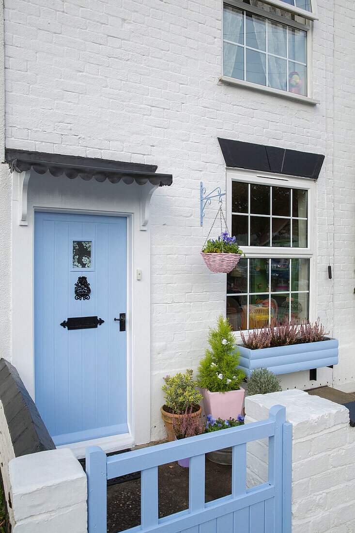 Light blue paintwork on exterior of whitewashed Victorian terraced cottage in Kidderminster Worcestershire England UK