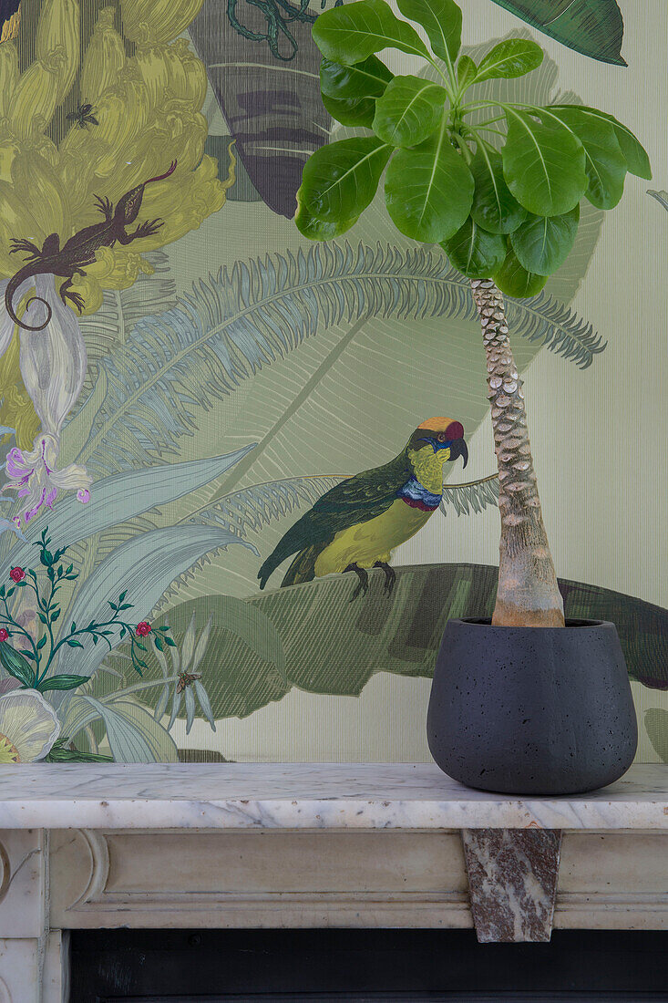 Zimmerpflanze auf einem Marmormantel mit tropischer Tapete in einem viktorianischen Stadthaus in London UK