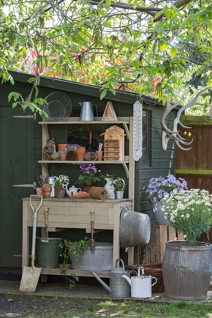 Potting shed in Edwardian garden Surrey UK