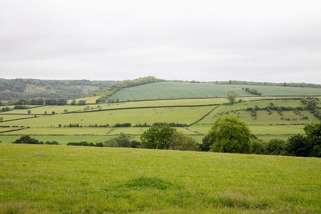 Rolling hills and farmland in Somerset, UK