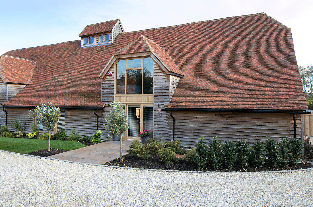 Gravel driveway with olive trees at entrance to barn conversion in Hampshire UK
