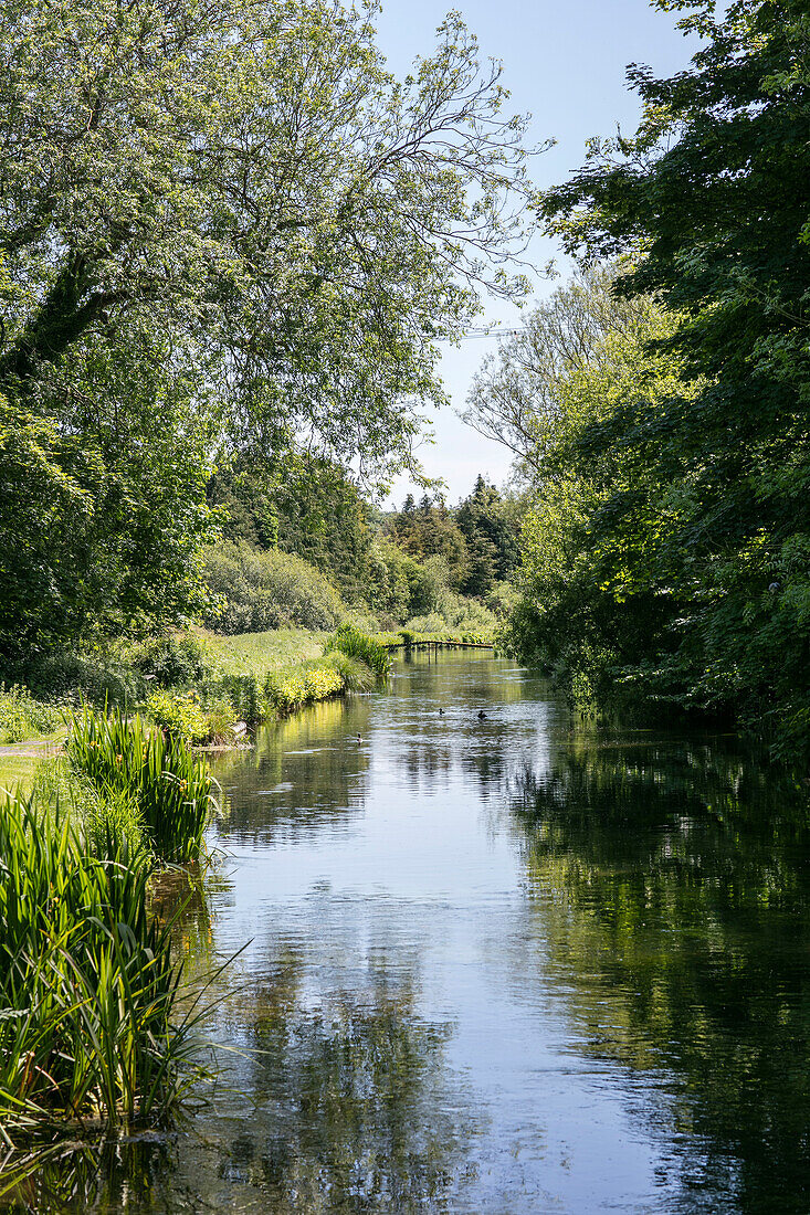 Blattgrüner Fluss Hampshire UK
