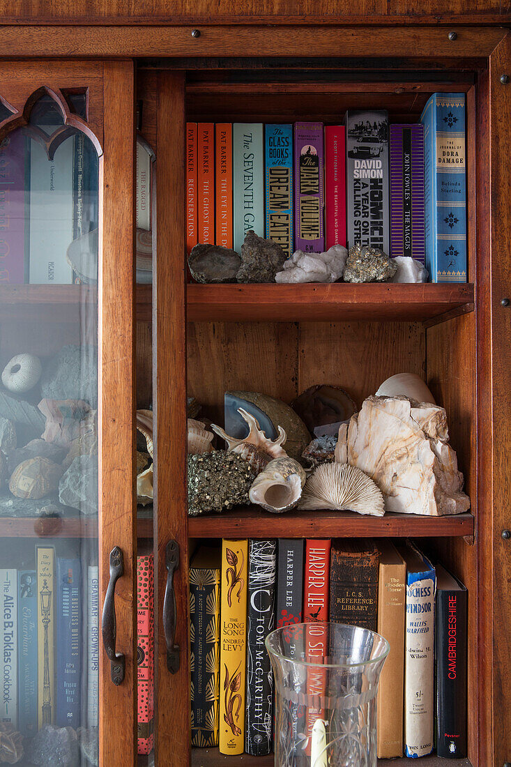 Seashells and books on wooden shelving in Sussex home