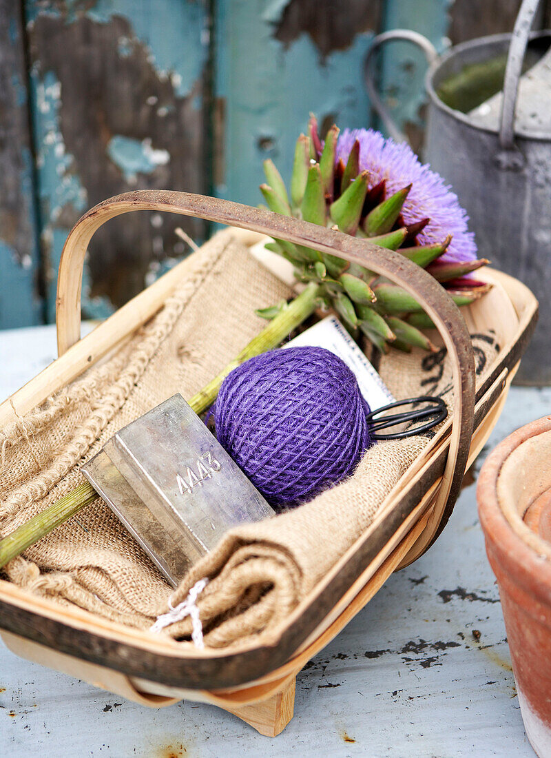 Purple string and flower with hessian in garden trug Isle of Wight, UK