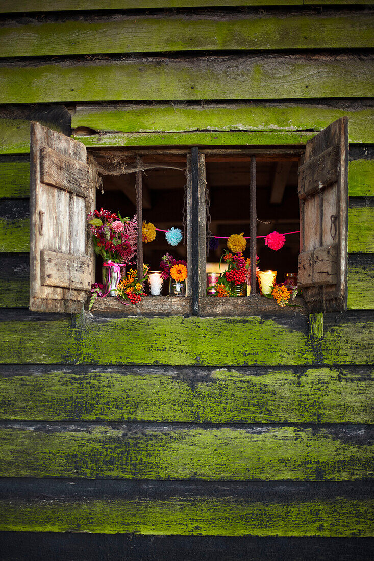 Offene Fensterläden einer rustikalen Holzhütte mit Schnittblumen im Herbst UK