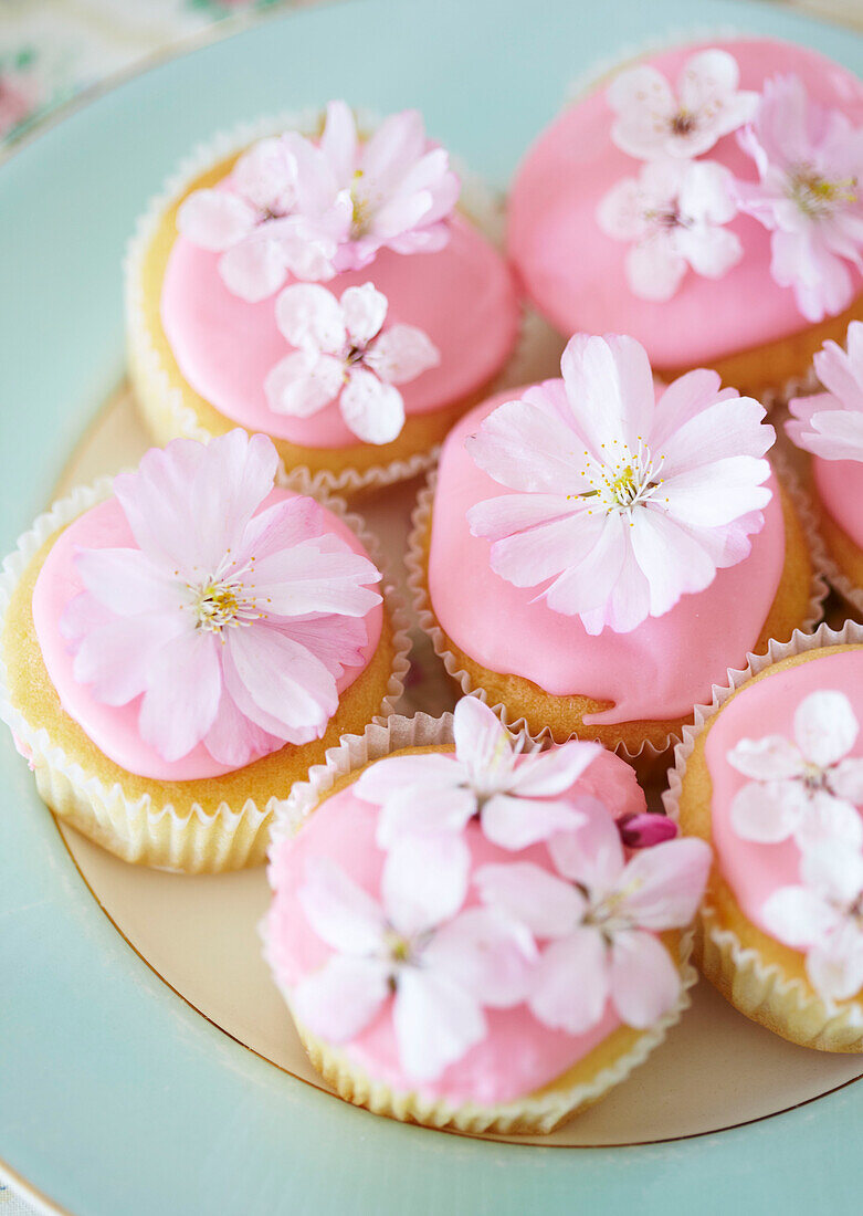 Pink fairycakes decorated with flowers
