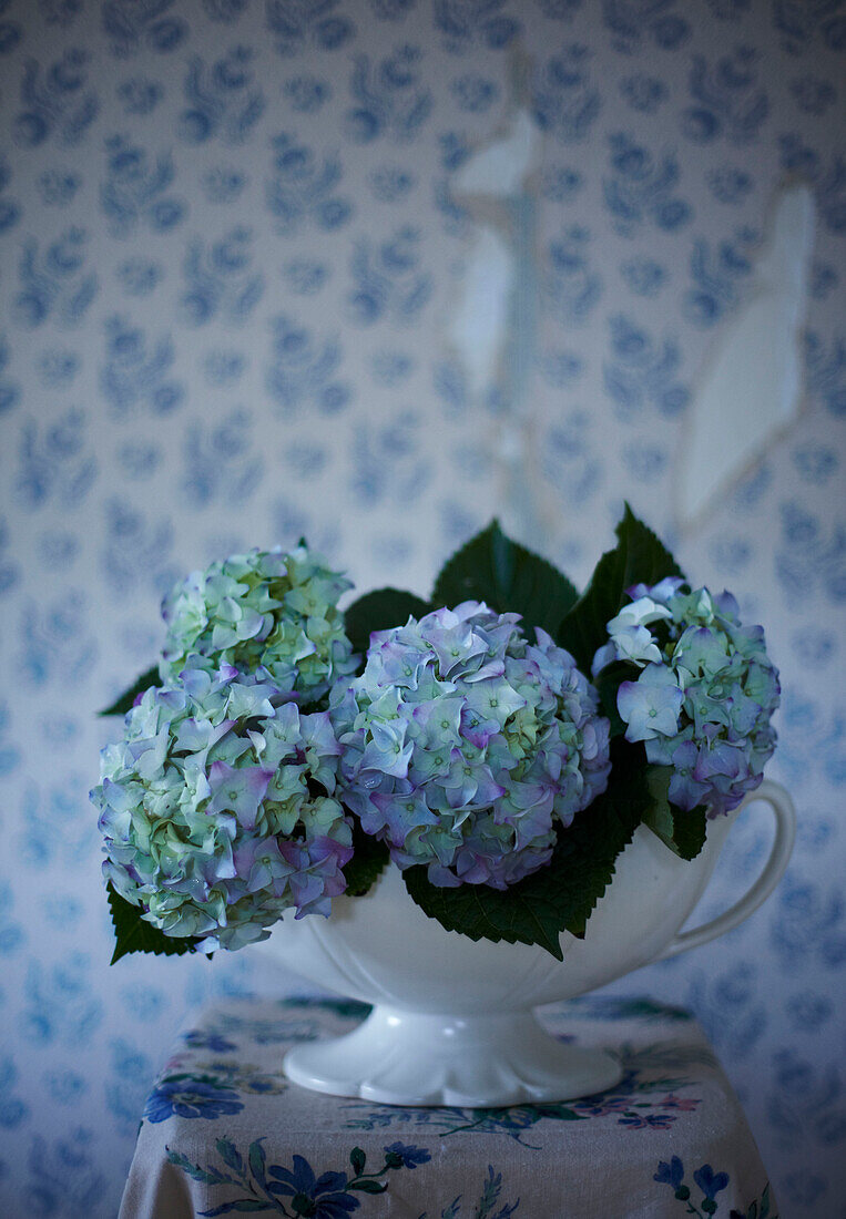 Vintage Blooms - Klassisches blau-weißes Stillleben mit Hortensien und verziertem weißen Krug auf Foralstoff und Tapete