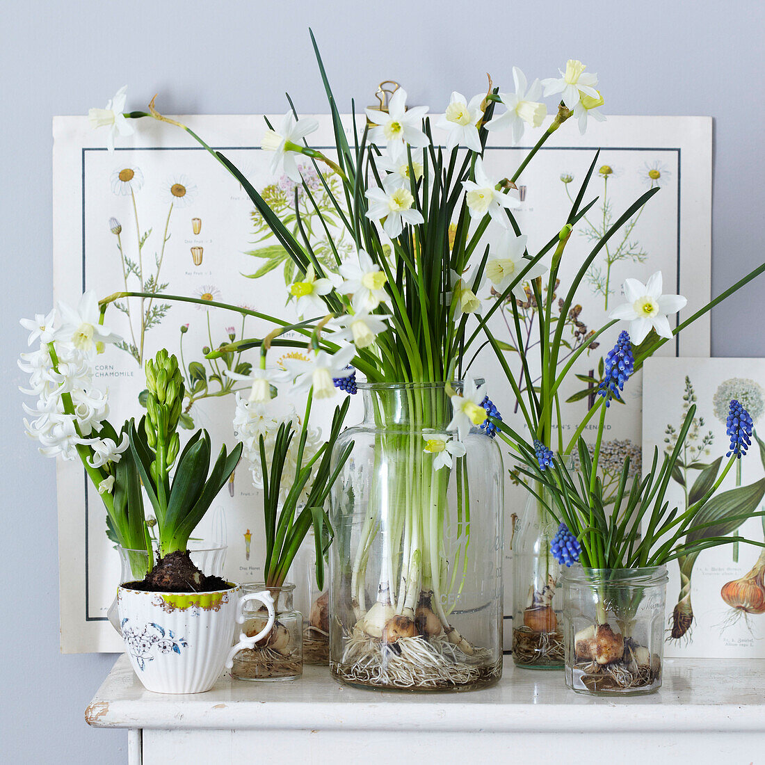 Ostern Mantlepiece mit Gläsern und Vasen mit Frühlingszwiebeln