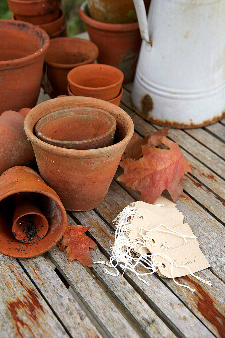 terracotta flowerpots and metal jug with labels in Isle of Wight garden UK