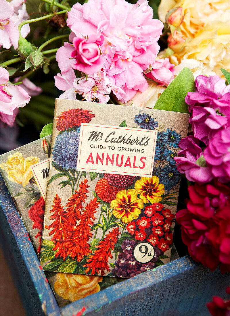 Cut flowers in blue crate with gardening book Isle of Wight, UK