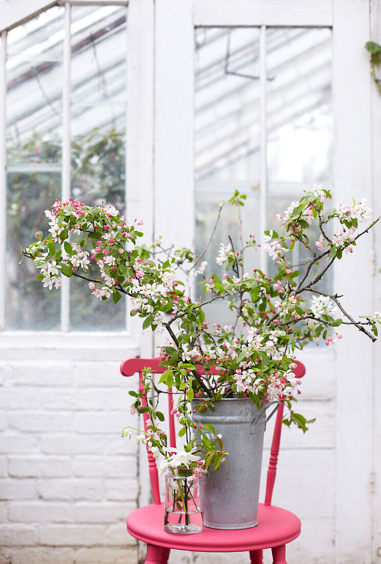 Metalleimer mit Blütenzweigen und Glasgefäß mit Frühlingsblumen auf hellrosa Stuhl im Gewächshaus