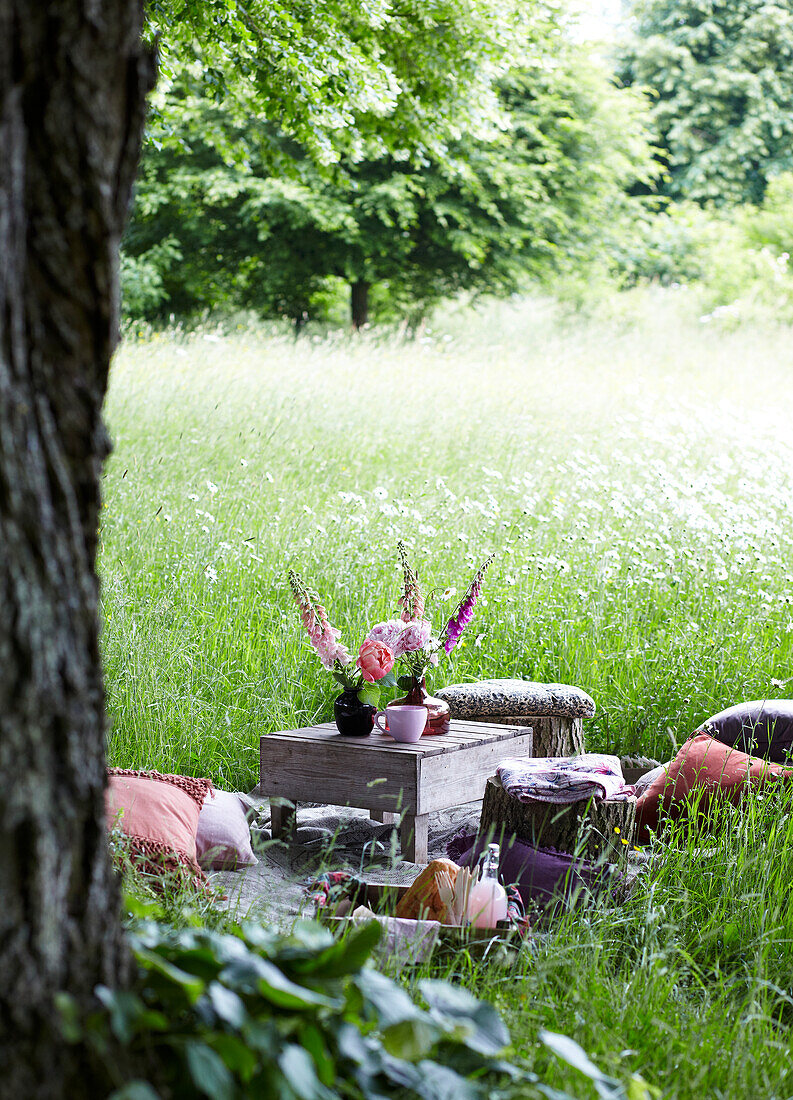 A picnic on a meadow with a rug, a cushion and foxgloves