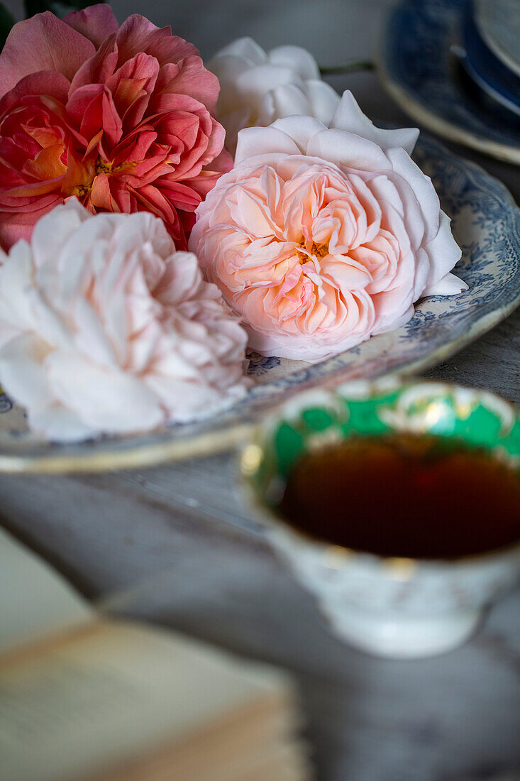 Vintage Teetasse und Rose