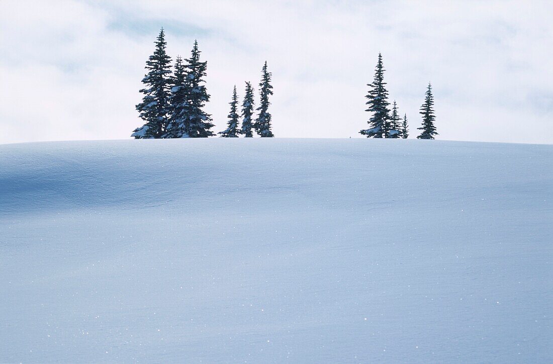 Verschneite Landschaften im Ferienort Whistler in Kanada