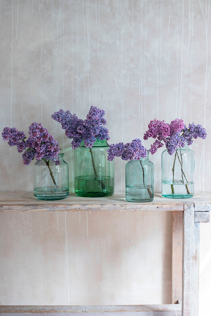 Glass jars filled with lilac Syringa Vulgaris on a workbench