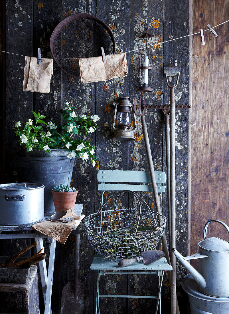 Rustic garden corner with old tools and plants