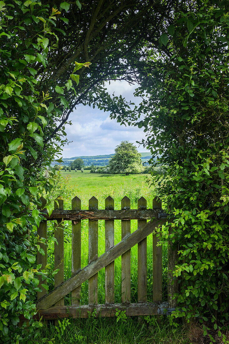 Gartentor aus Holz mit Blick auf die grüne Landschaft im Sommer