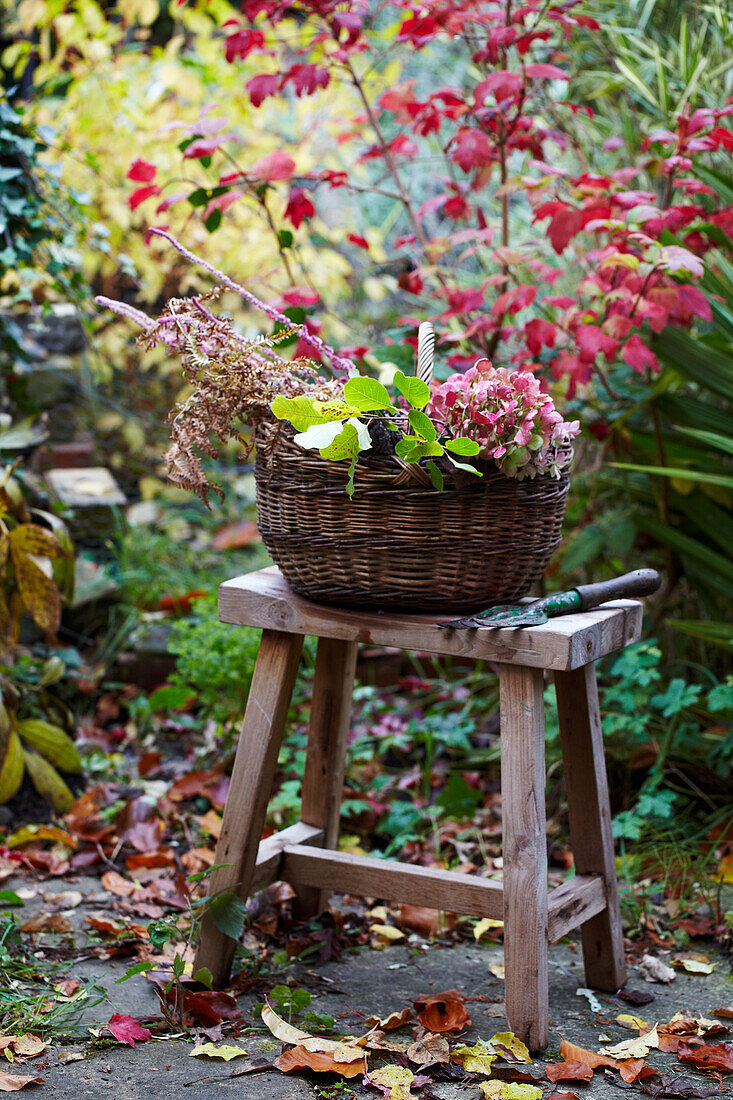 Autumnal decorated garden scenario with basket on wooden stool