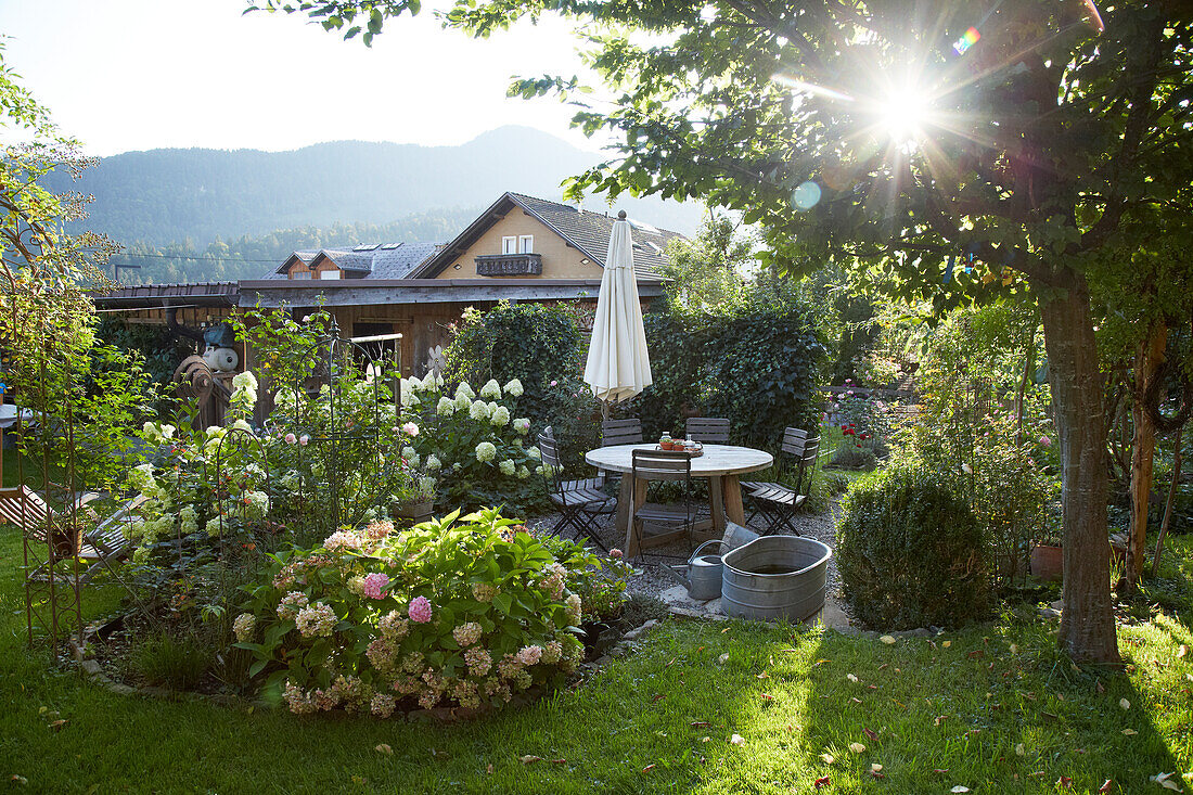 Sun-drenched garden with seating area and hydrangeas in the foreground