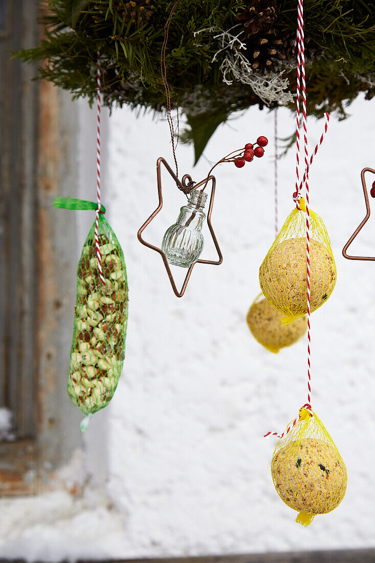 Suet balls and bird food in winter