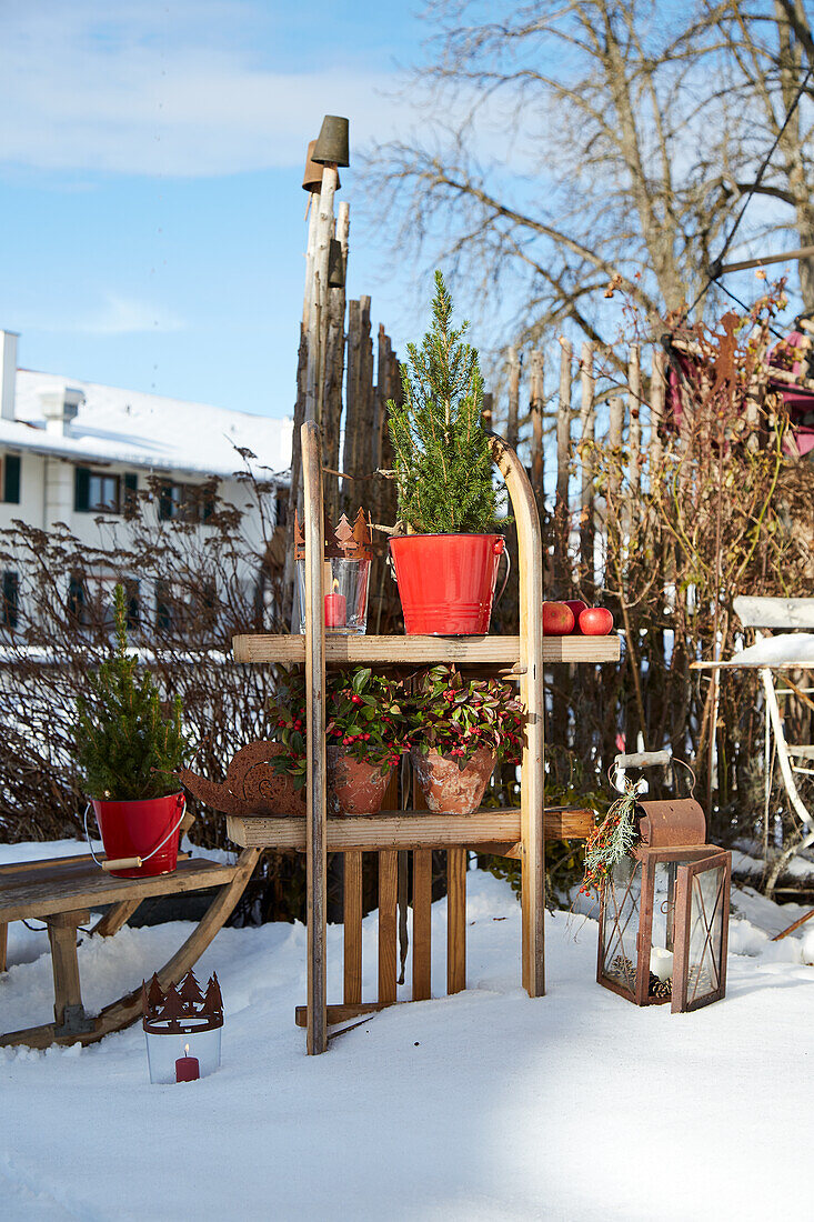 Winterliche Gartendekoration mit Pflanzen auf Holzschlitten und Laternen im Schnee