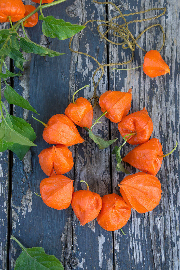 A wreath of Chinese lanterns