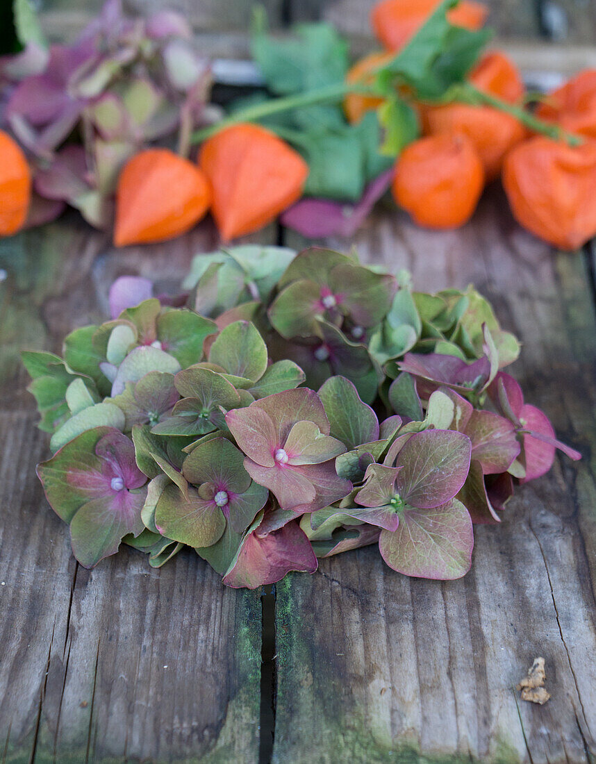 Wreath of hydrangea blossoms