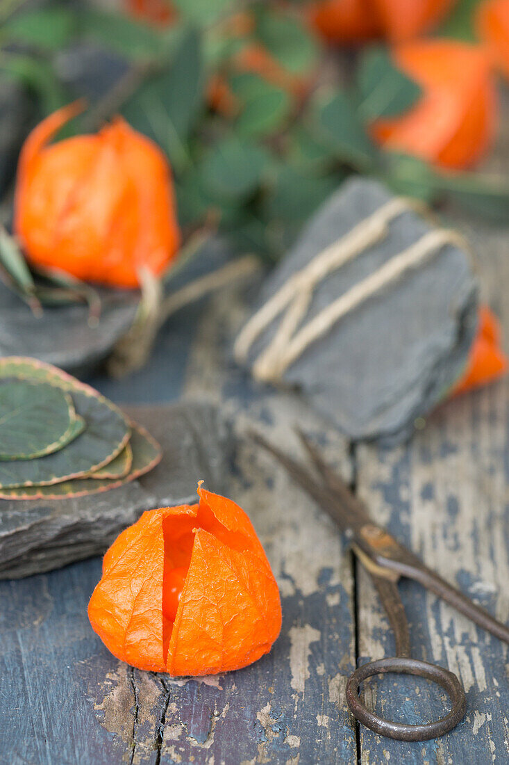 Candle holder made of lantern flowers