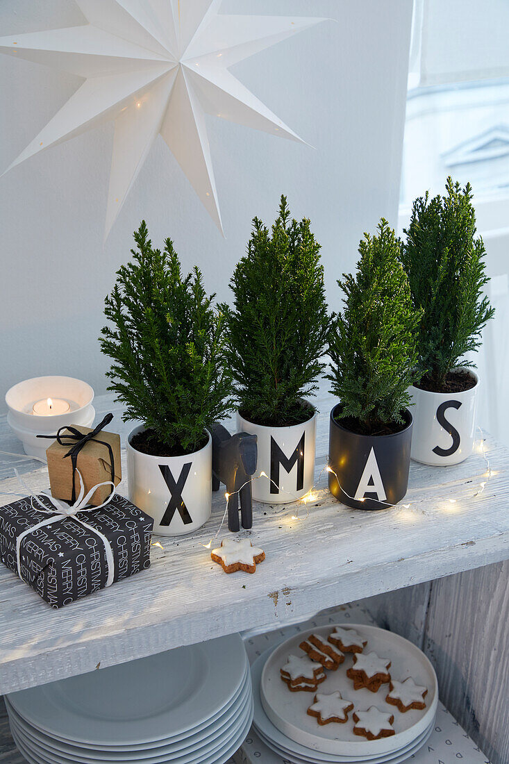 Christmas decorations with trees, candles and XMAS cups