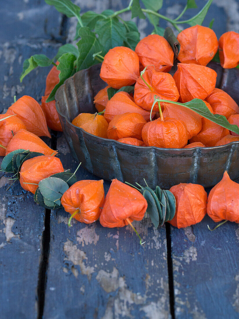 Copper bowl filled with lantern flowers