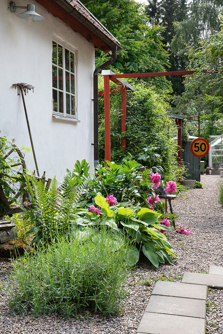 Gartenweg mit Steinplatten und blühenden Stauden neben einem Haus