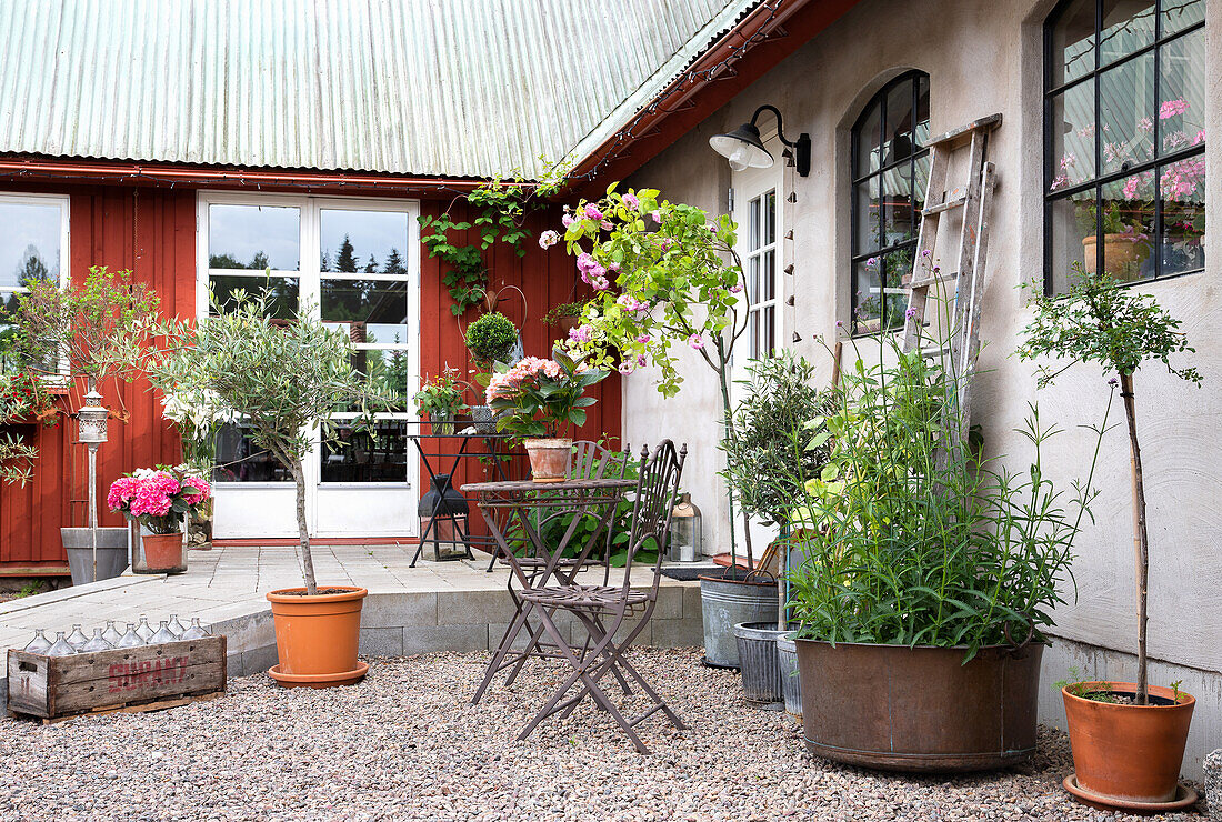 Terrace with a seating area and various potted plants in front of a country house