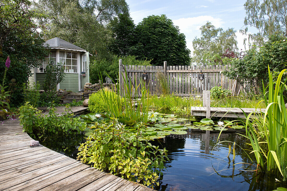Garden pond with water plants and wooden footbridge