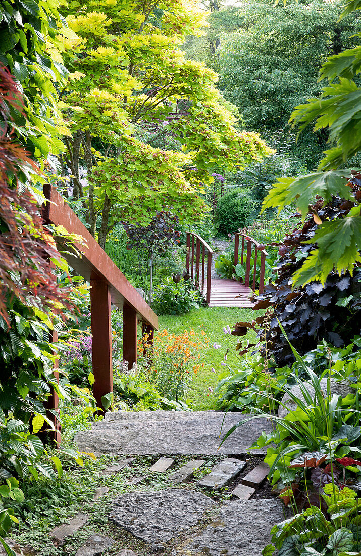 Stairs between Japanese maple and copper maple in the garden