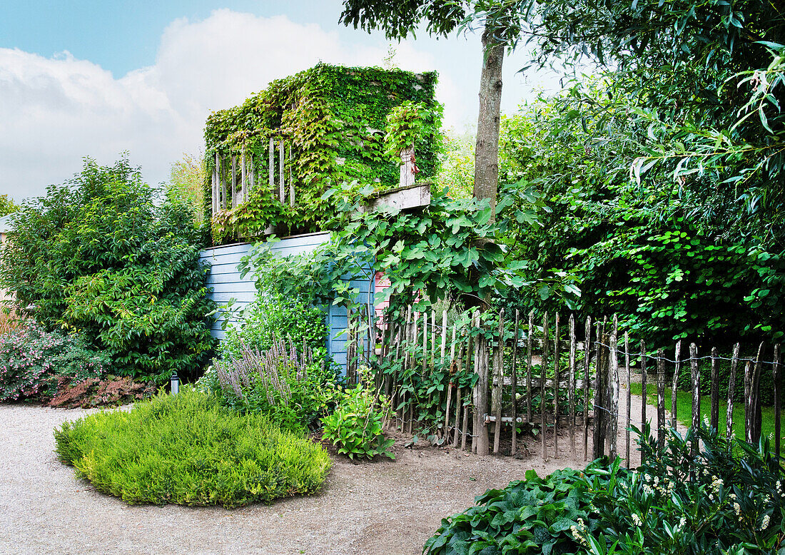 Overgrown cottage made of recycled material with a picket fence in the garden (Appeltern, Netherlands)