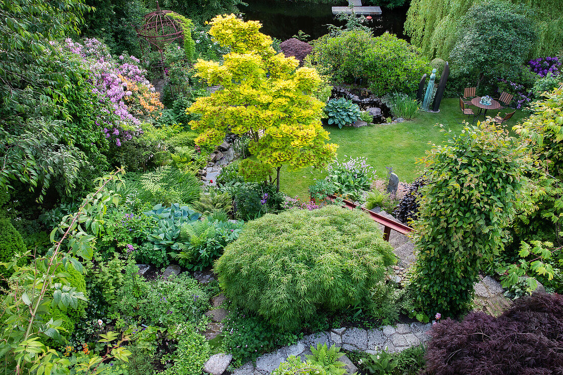 View of a lushly planted garden with various green plants