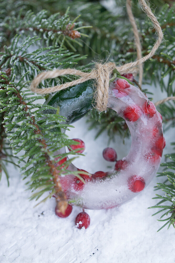 Wreath of ice with holly berries in the snow