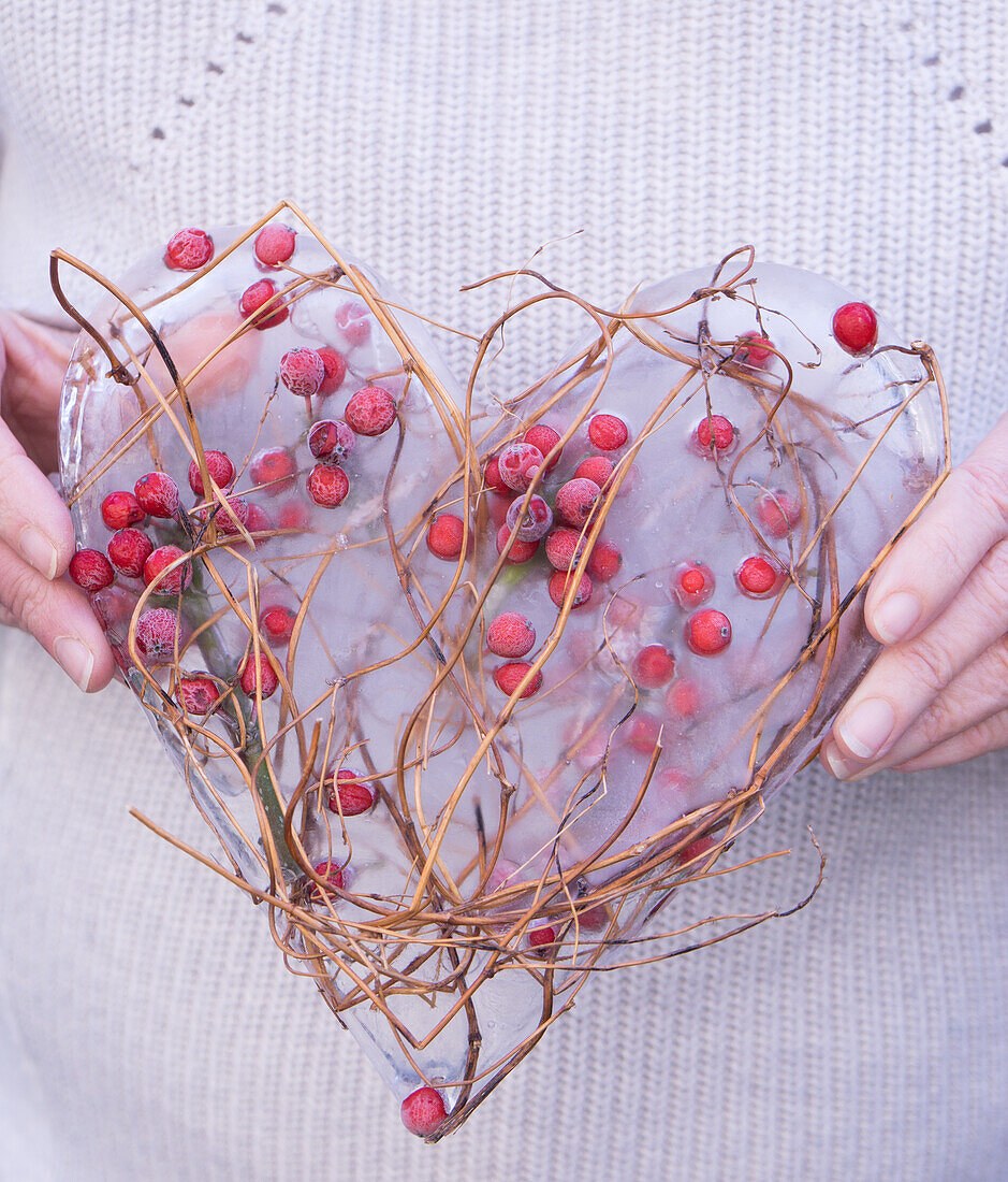 Frozen heart with rose hips and knotweed tendrils