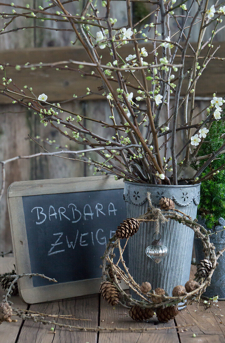 Plum blossom twigs, in a zinc pot, wreath of larch twigs with Christmas ornament in front of a slate board