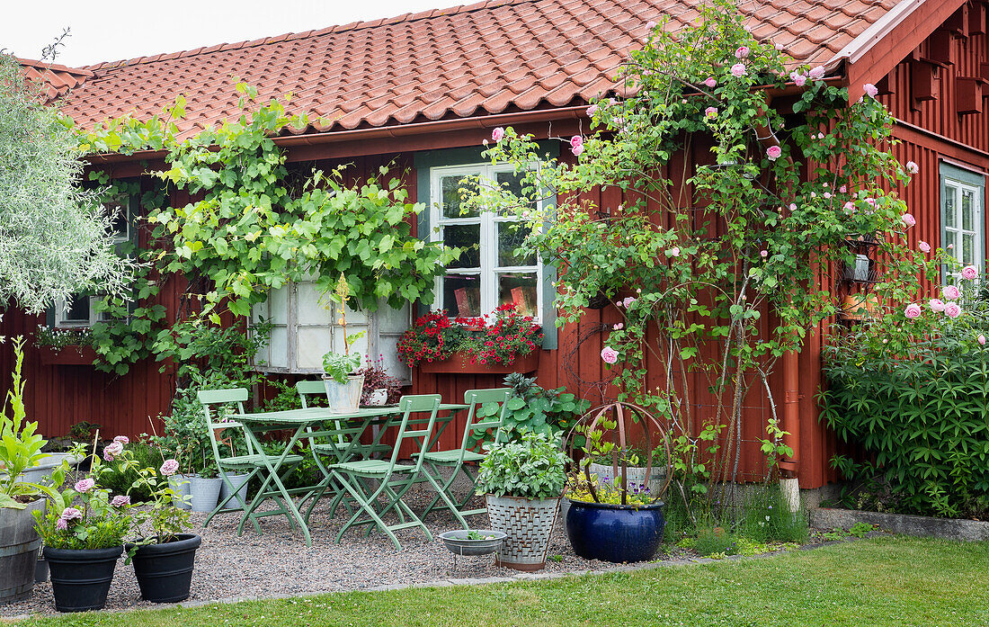 Kiesterrasse mit Sitzplatz und verschiedenen Pflanzen vor rotbraunem Schwedenhaus